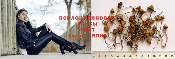 гашик Баксан