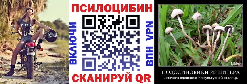 Псилоцибиновые грибы GOLDEN TEACHER  darknet официальный сайт  Кизляр  где найти   OMG сайт 